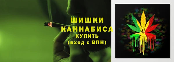 гидра Алексин